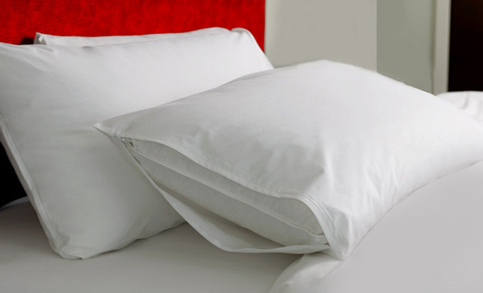 bed bug protectors for mattresses r