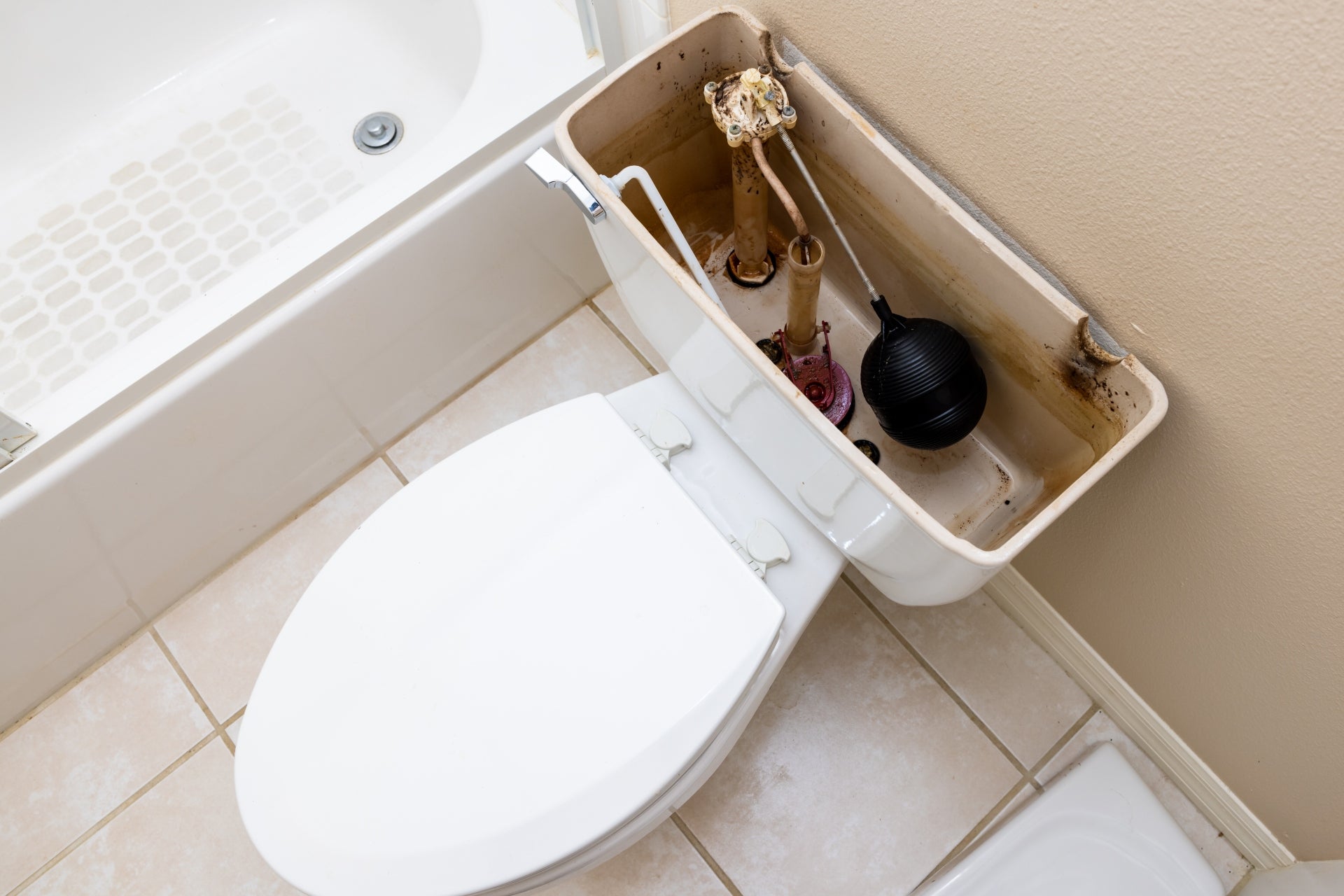 An elongated toilet with an open tank revealing its parts