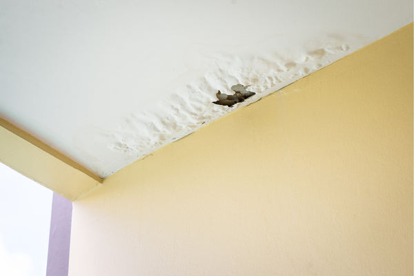 Drywall chipping from the ceiling of a home due to moisture and water leaks