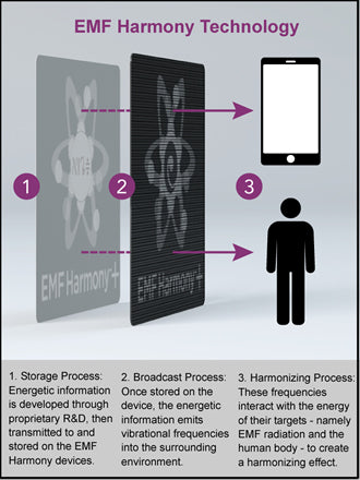 EMF Harmony Technology Process