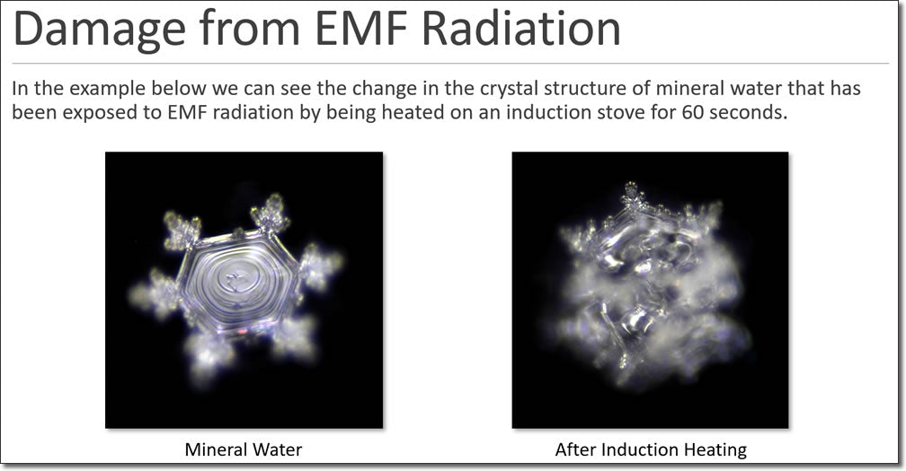 EMF Radiation Energy Damage