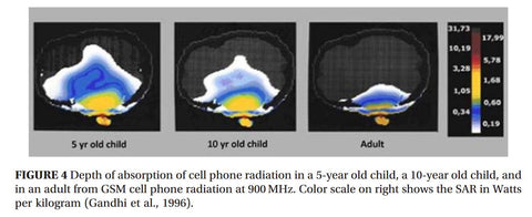 Cell Phone EMF Radiation Picture in Brains of Child Children
