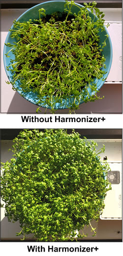 EMF Harmonizer Sprouts Growth Test