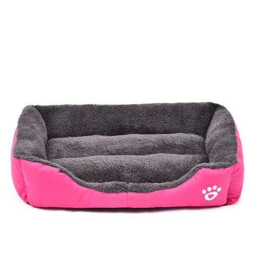 colorful dog beds