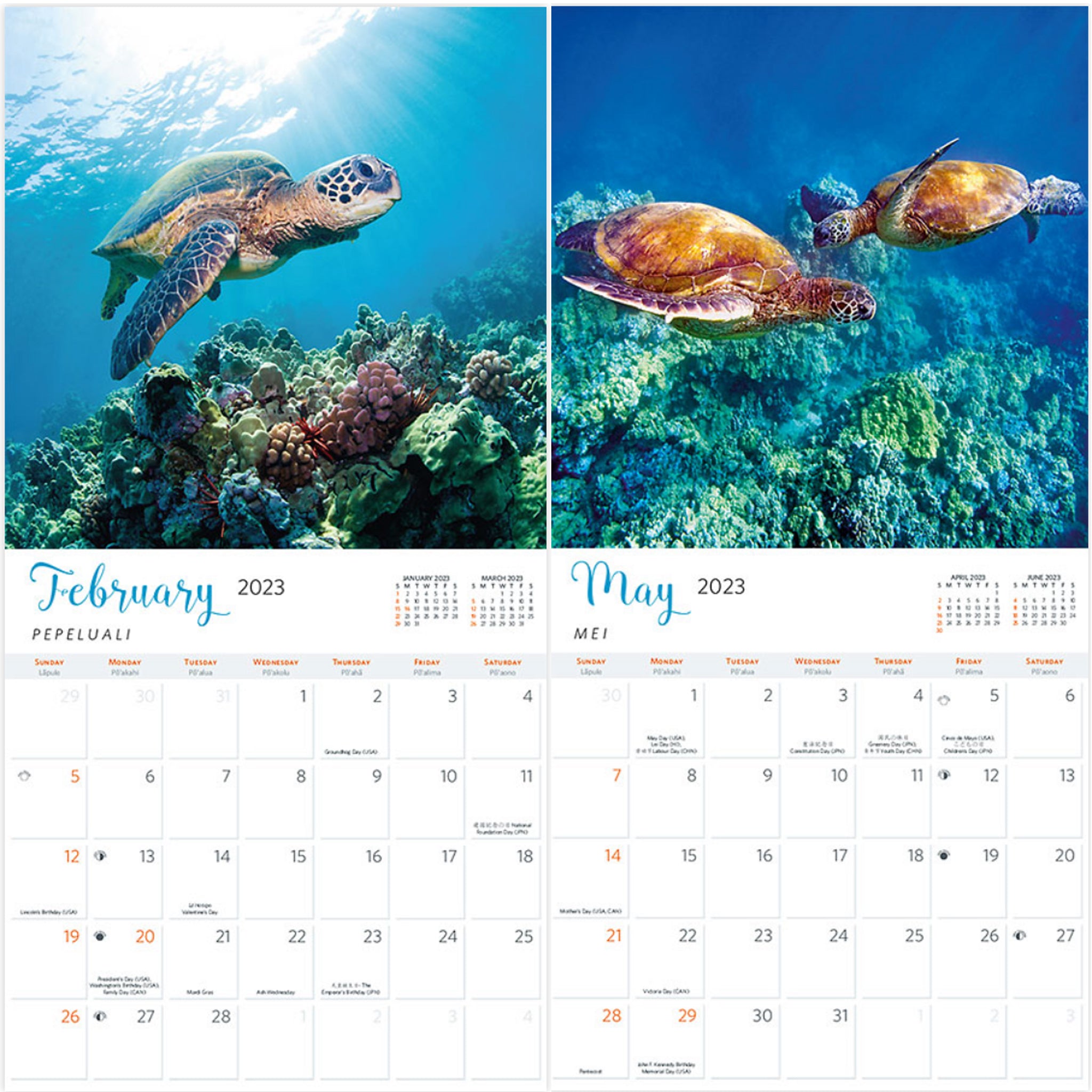 Island Style 2023 Calendar Hawaiian Sea Turtles Hawaii Bookmark