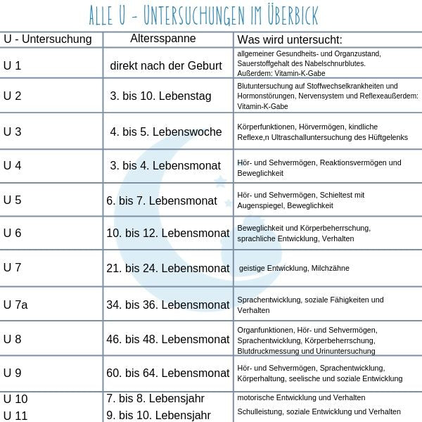 Tabelle der einzelnen U-Untersuchungen