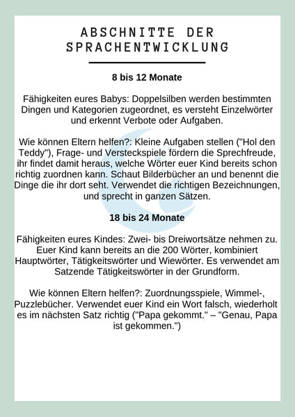 Infografik Abschnitte der Sprachentwicklung 8 - 24 Monate