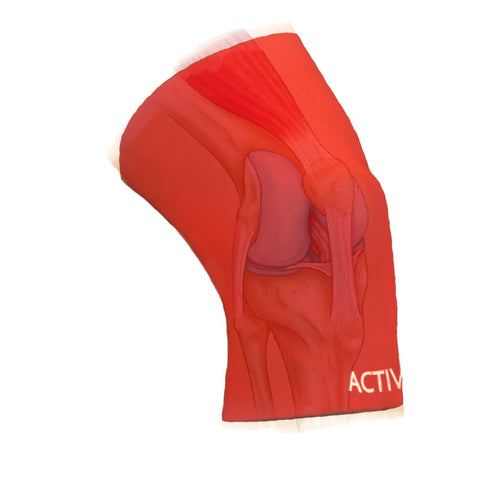 Knee Support from Active650 reduces pain from knee arthritis