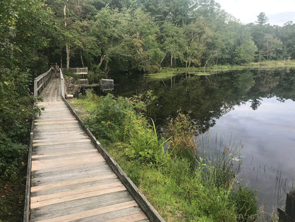 a wood plank walkway stretches into the distance along a pond before turning off into trees