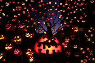 one large jack-o-lantern surrounded by numerous smaller ones suspended from the silhouette of a tree in the dark background