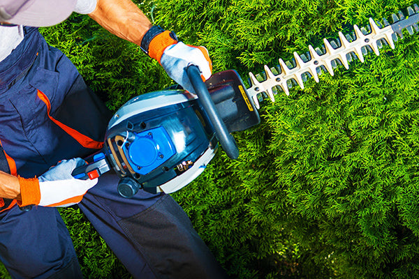 man chainsawing bushes