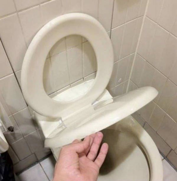 toilet lid diy fail