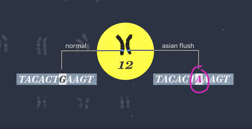 Asian flush genetically mutated gene