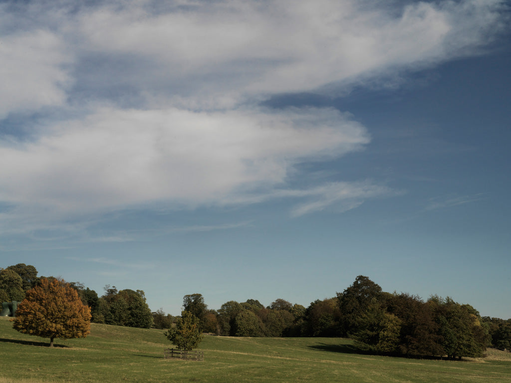 Yorkshire Sculpture Park | YSP | Campbell Cole | SImple Days