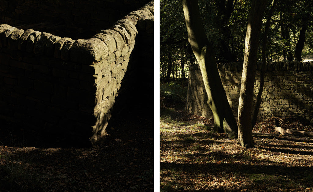 Campbell Cole | YSP | Yorkshire Scupture Park