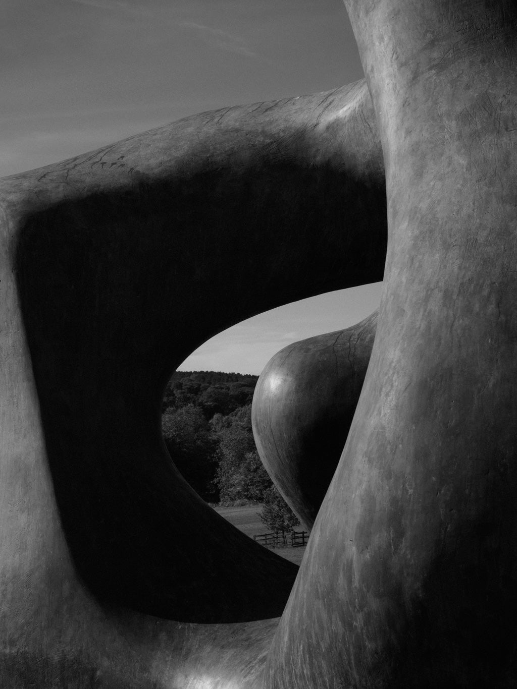 Yorkshire Sculpture Park | YSP | Campbell Cole | Henry Moore