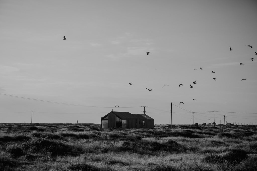 Birling Gap, Beachy Head, Camber Sands, Dungeness by Lydia Harper