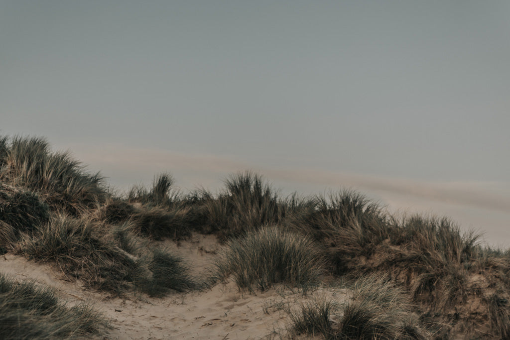 Birling Gap, Beachy Head, Camber Sands, Dungeness by Lydia Harper