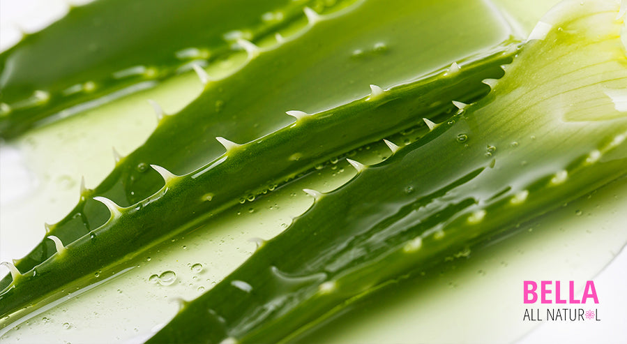 What Does Aloe Vera Juice and Aloe Water Taste Like? – Bella All Natural