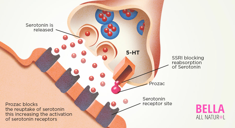 How SSRIs Work