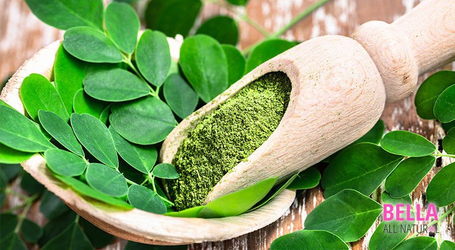 Moringa Leaves and Powder