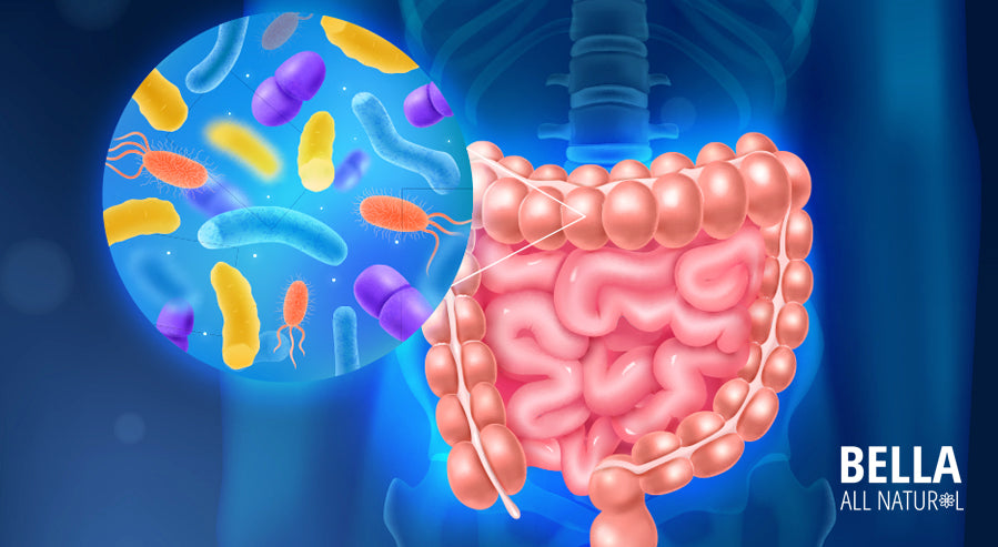 The Microbiome