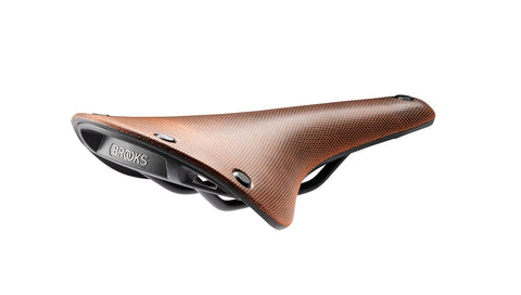 brooks champion s flyer