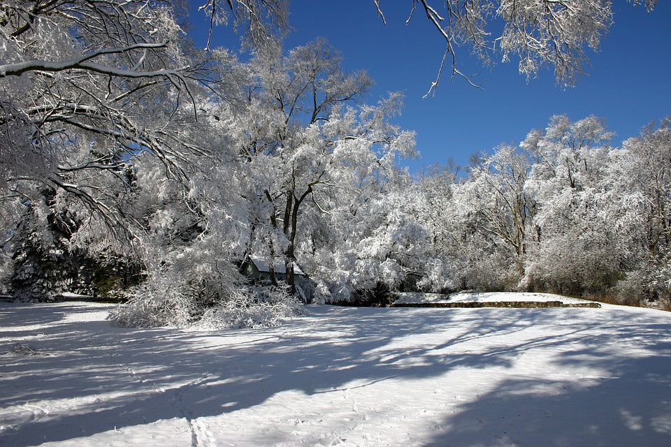 Snowy field