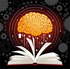 Your brain on books