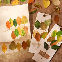 Fall Leaves Masking Sticker Roll Nav Image 6