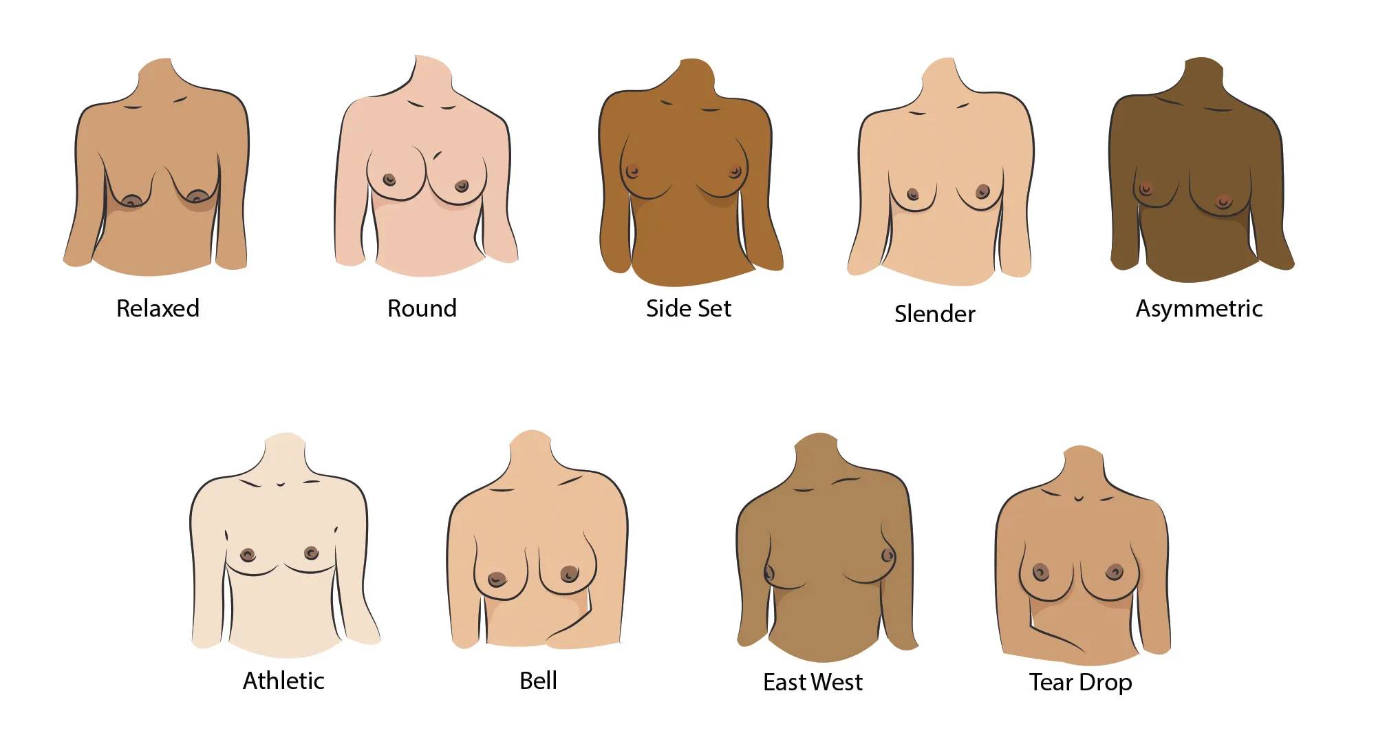 9 Different Boob Shapes + a Boob Shapes Chart – WAMA Underwear
