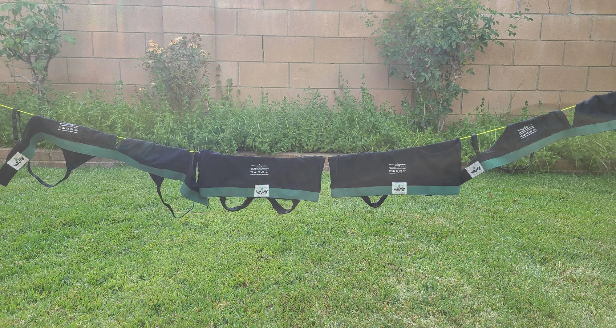 hemp underwear hanging outside