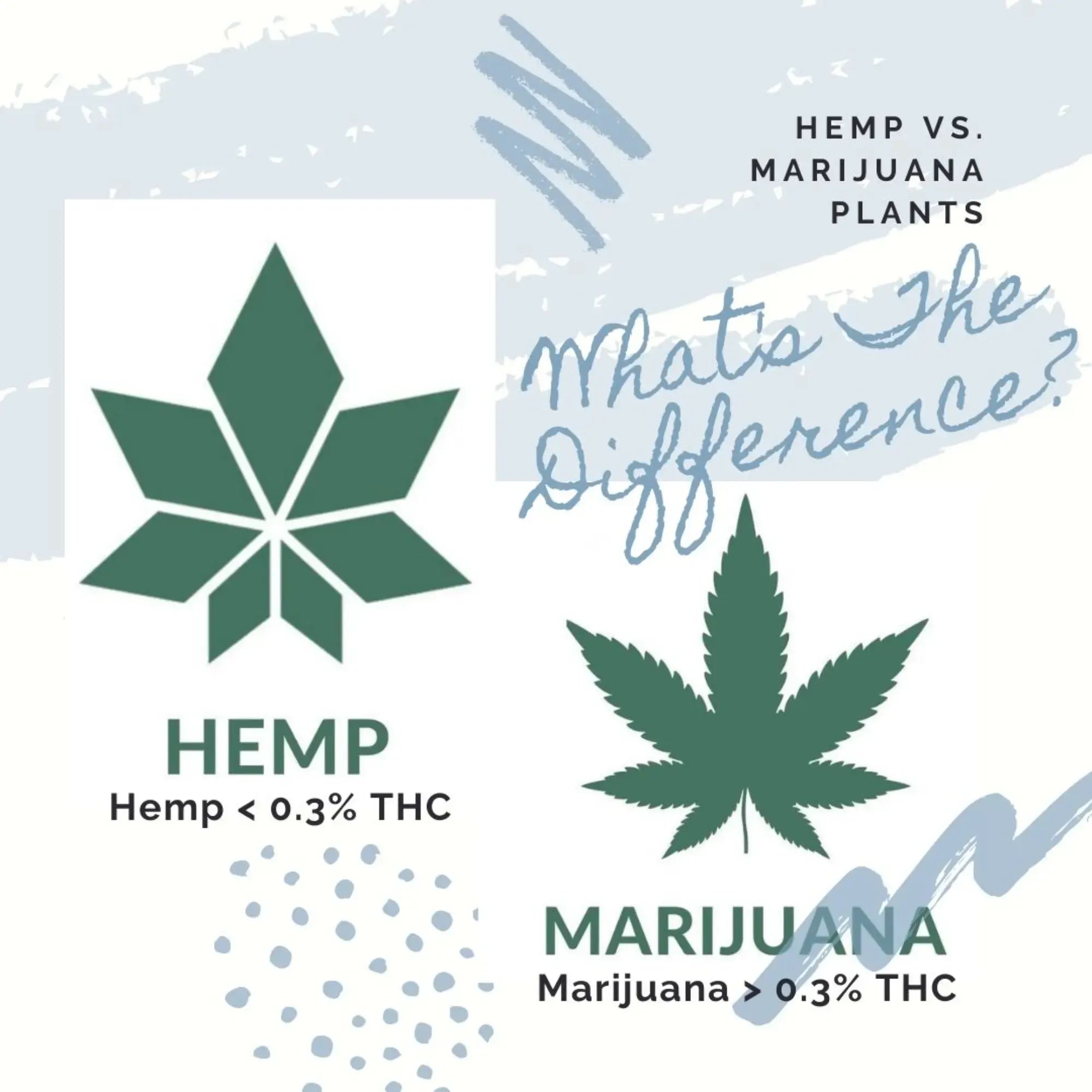 a diagram of the differences between marijuana and marijuana