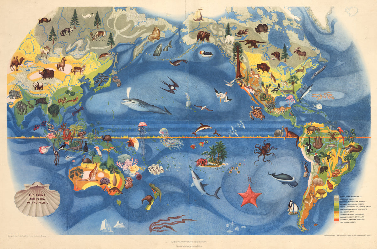 Животный мир мирового океана карта