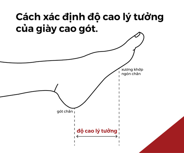 Giày cao gót nữ Đông Hải - ảnh minh họa