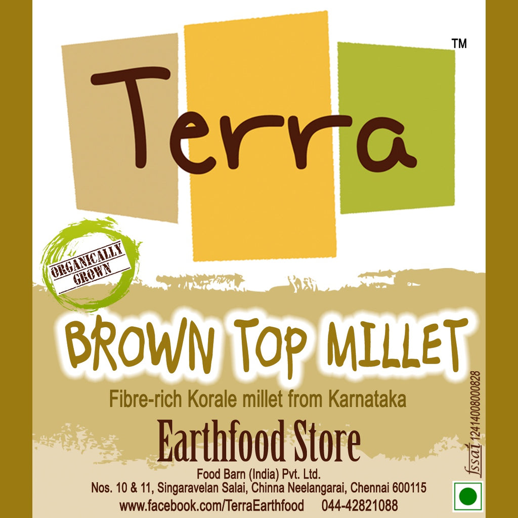 Terra-Brown Top Millet – Terra