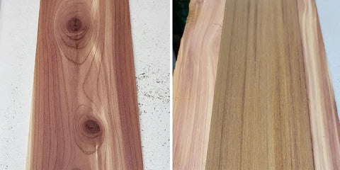 eastern and western red cedar, side by side