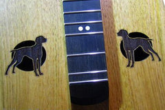 dog sound holes