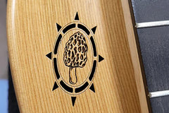 morel mushroom dulcimer