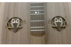 owl sound holes