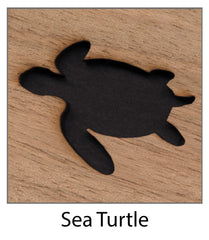 sea turtle sound hole