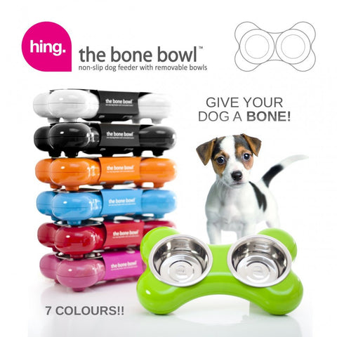 hing dog bowl large