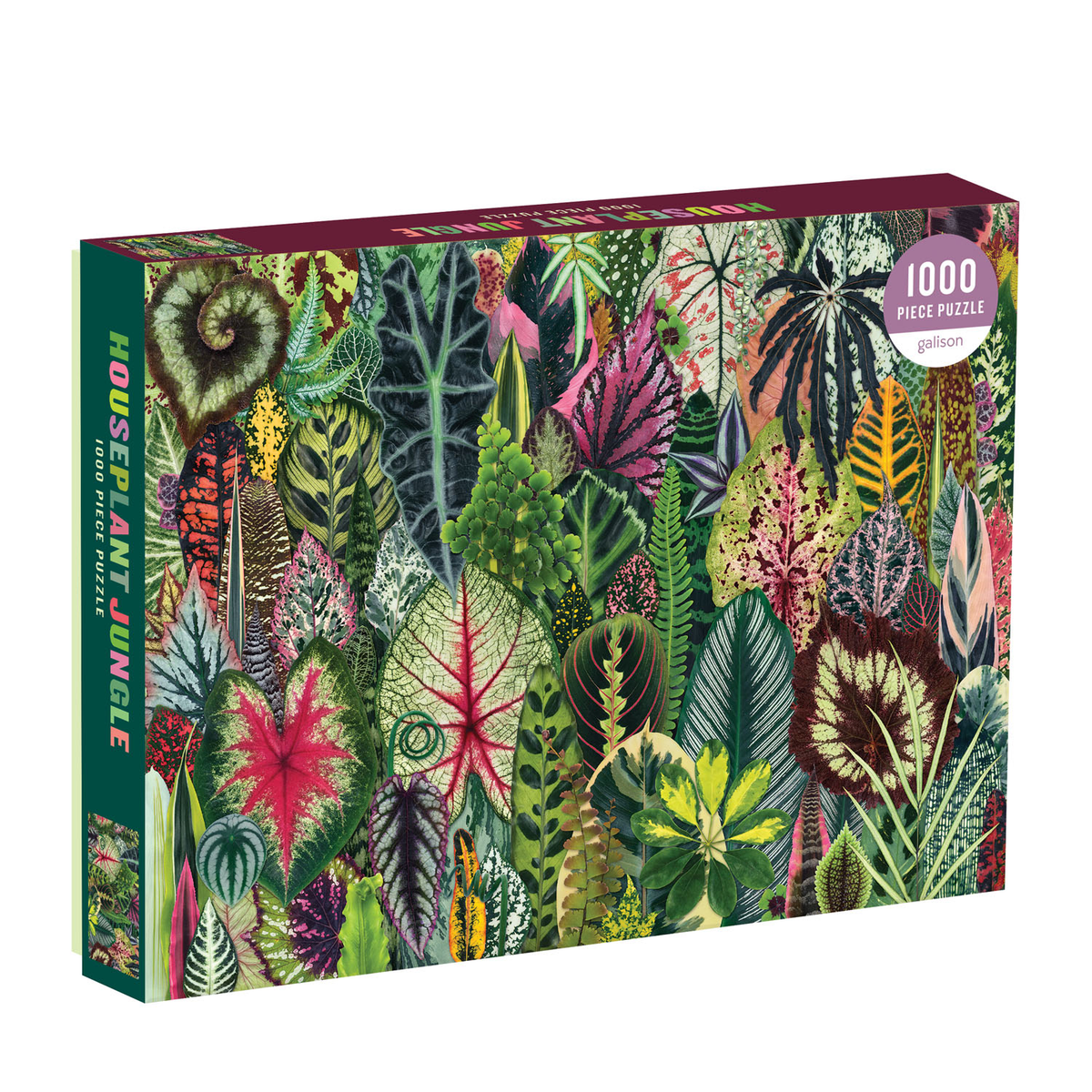 Houseplant Jungle 1000 Piece Puzzle | Galison