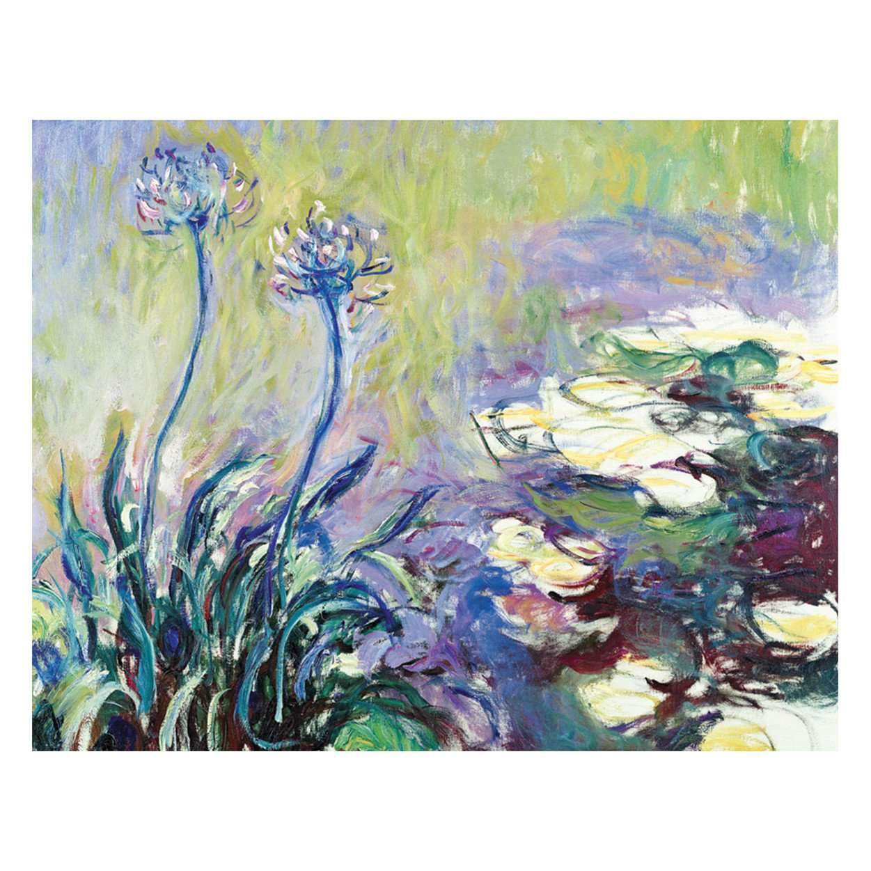 sygdom Athletic Indlejre Monet Waterlily Garden Keepsake Box Note Cards | Galison