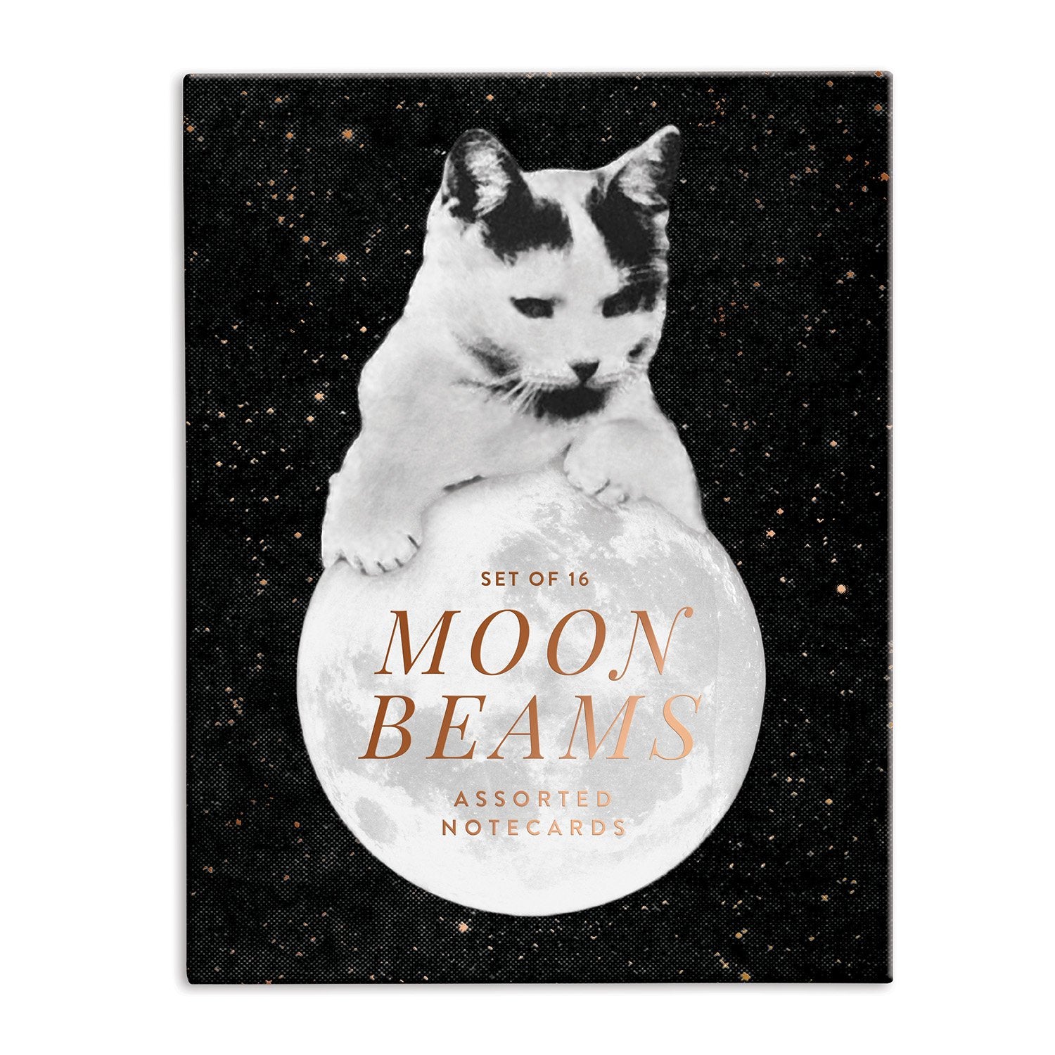 moonbeam cat lady card game