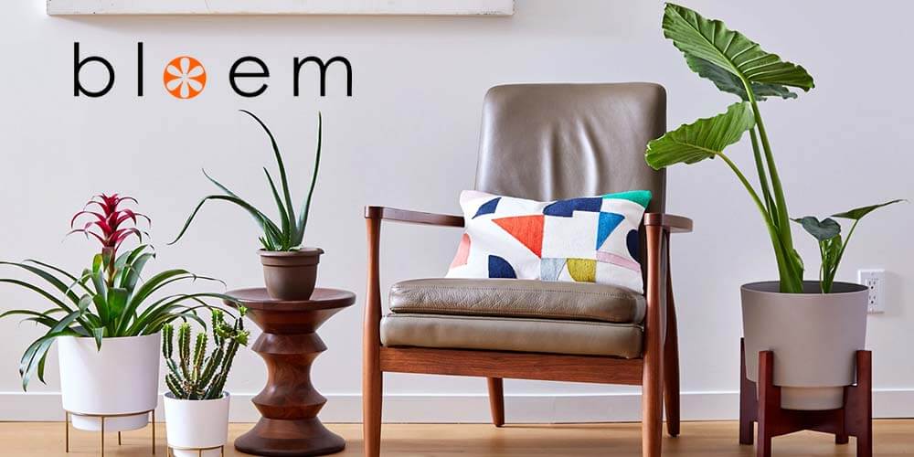 9 Excellent Bloem Planters to Enhance Your Home