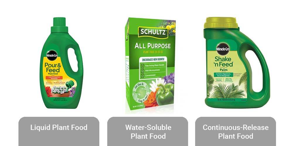 Forms of Plant Food