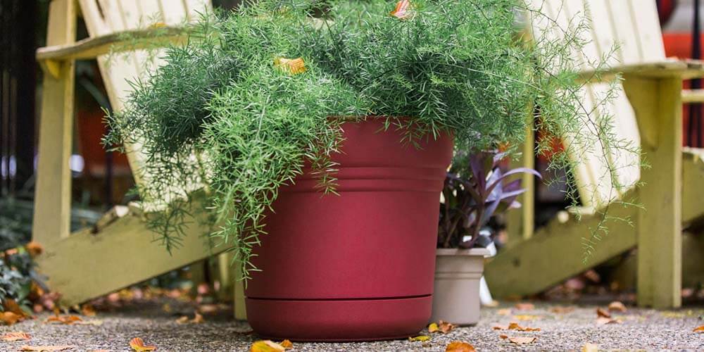 Bloem burnt red plastic planter 