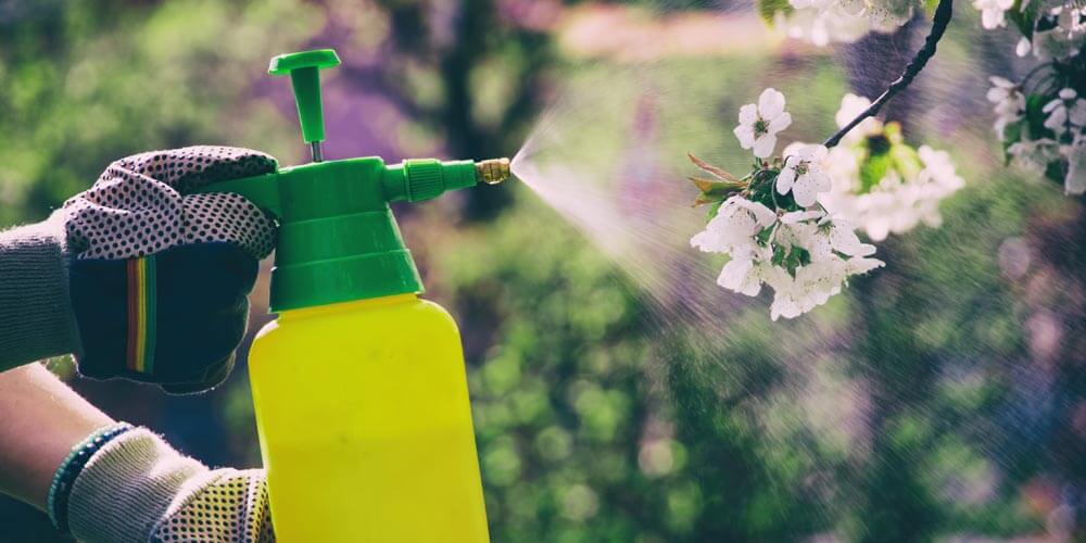 How to use a garden sprayer