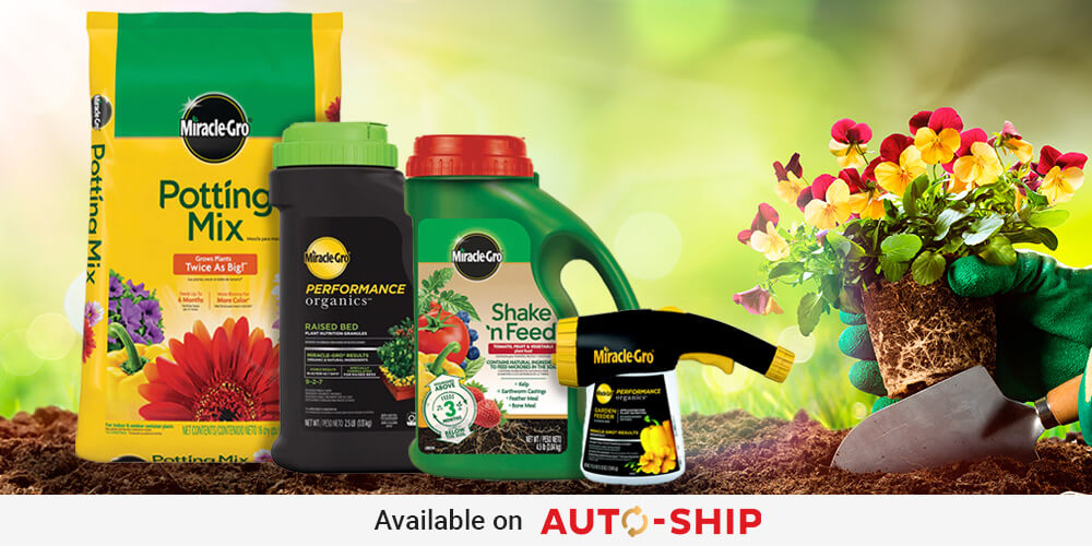 Popular Miracle-Gro Products 